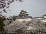 姫路城(旅ニケーション 世界遺産)