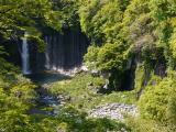 白糸の滝(旅ニケーション 富士宮旅行・富士宮観光)