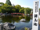 湧玉池(旅ニケーション 富士宮旅行・富士宮観光)